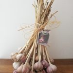 Aglio di resia
