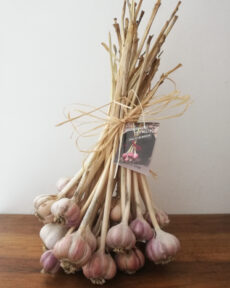 aglio di resia prezzo
