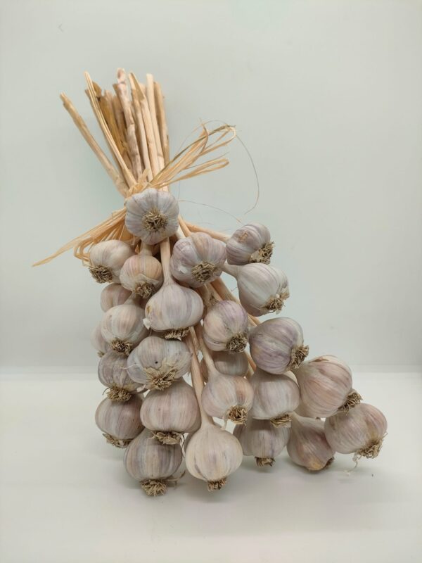 Aglio di resia